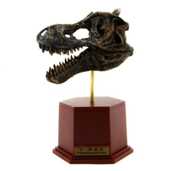 Skeleton Fossil ABS Assembly Dinosaur Toys